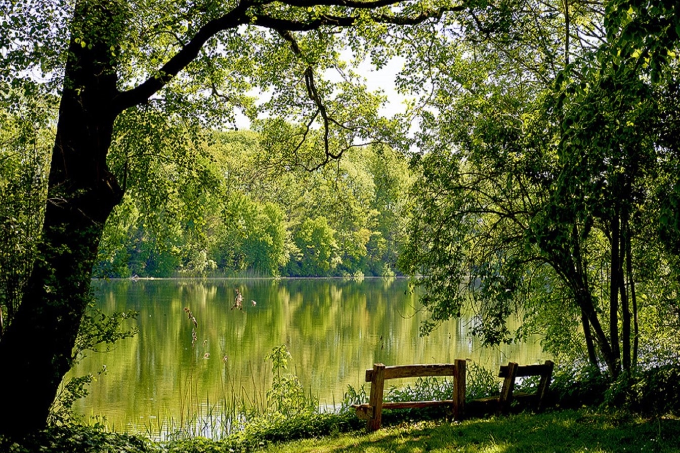 Günter Grass - Erlebnistipp Lübeck