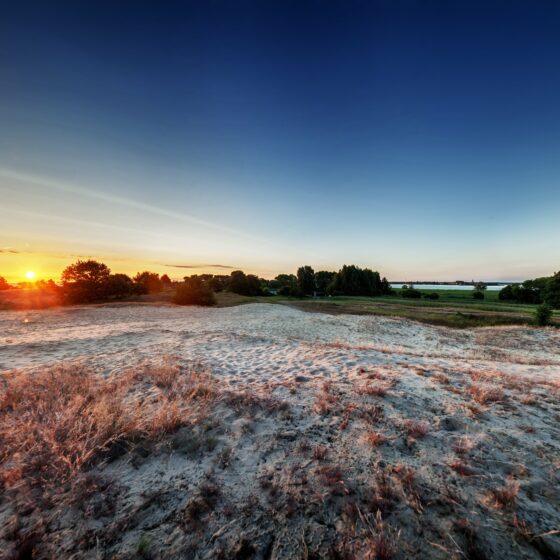 Geheimtipp Stettiner Haff - Riether Winkel