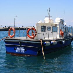 Lesereise Triest - Medientipp