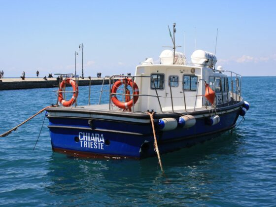 Lesereise Triest - Medientipp