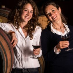 Weingut Pravis im Valle dei Laghi - Gardasee