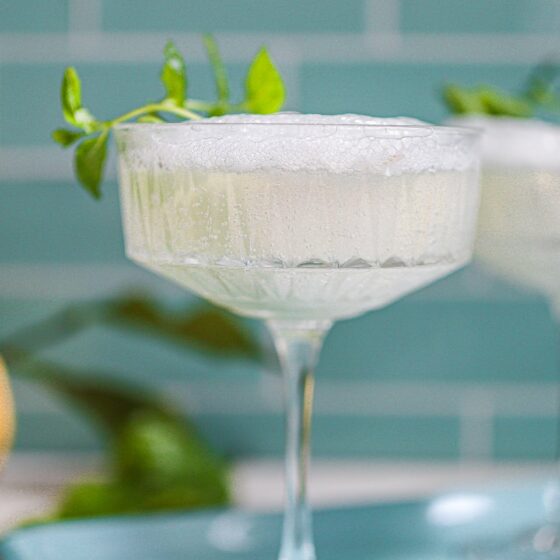 Rezept Venetien Prosecco - Sgroppino