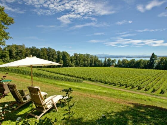 Schloss Kirchberg - Luxus Ferienwohnung Bodensee