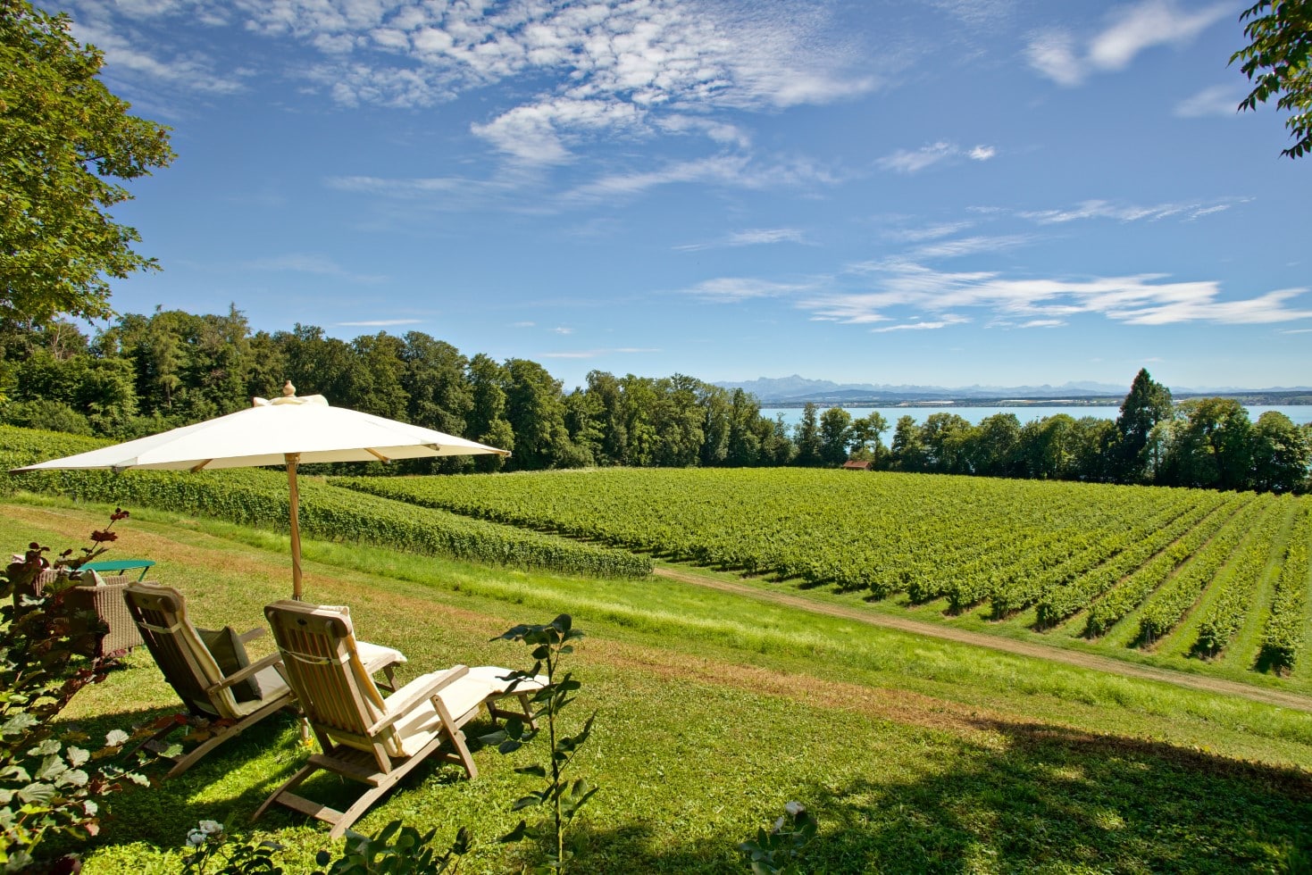 Schloss Kirchberg - Luxus Ferienwohnung Bodensee