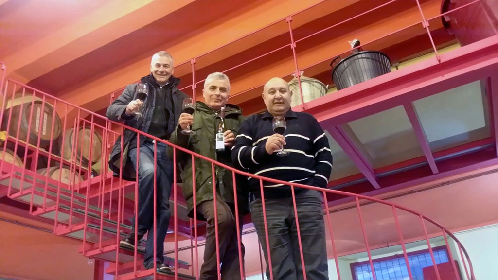 Weingut Spiriti Ebbri in Kalabrien