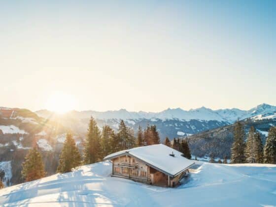 Chalet Ferienhaus Kitzbühel - Wirts'Hochalm
