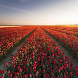 Erlebnistipps Nordholland