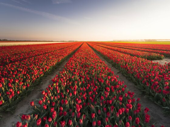 Erlebnistipps Nordholland