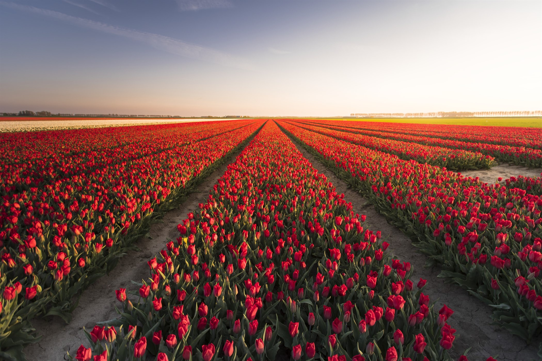 Erlebnistipps Nordholland