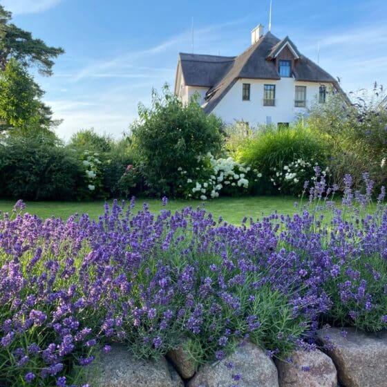 Ferienwohnung Usedom - Kamphof