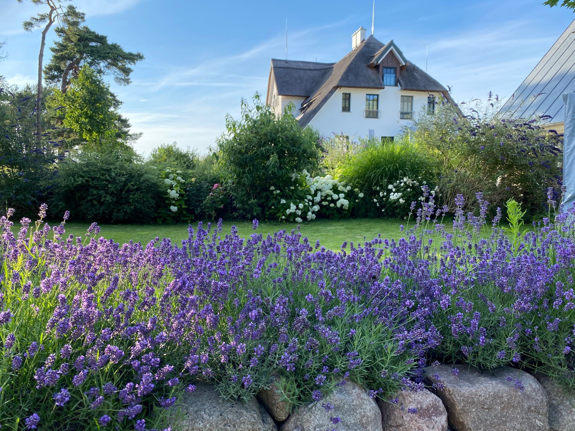 Ferienwohnung Usedom - Kamphof