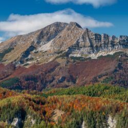 Wandertipps Steiermark - Ötscher