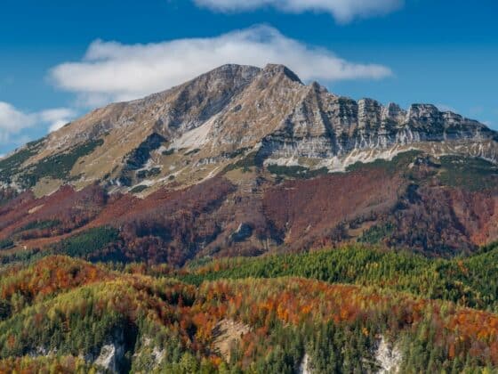 Wandertipps Steiermark - Ötscher