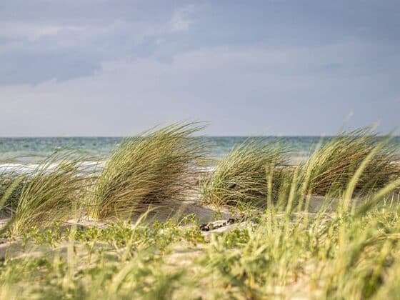 Erlebnistipps Fehmarn