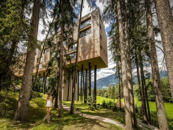 Baumhotel Südtirol - My Arbor
