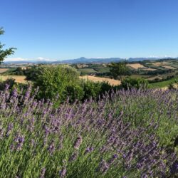 Boutique Hotel in den Marken - Solea Natural Relais