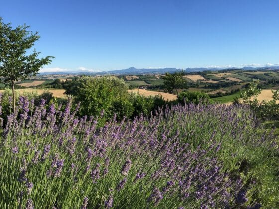 Boutique Hotel in den Marken - Solea Natural Relais