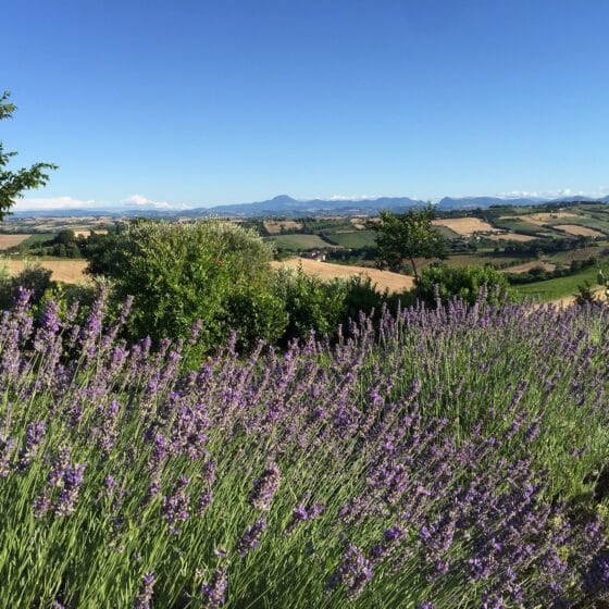 Boutique Hotel in den Marken - Solea Natural Relais