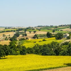 Erlebnistipps in den Marken