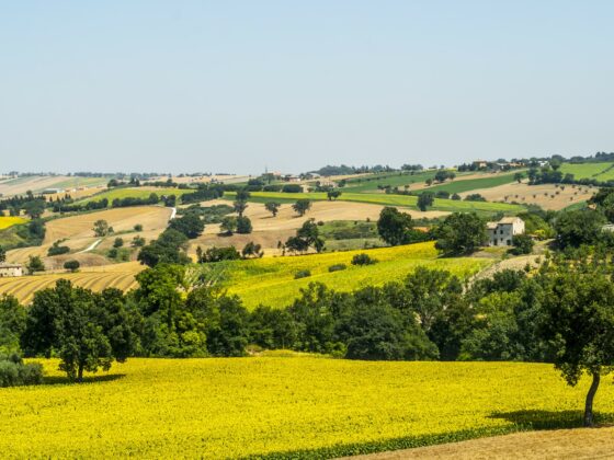 Erlebnistipps in den Marken