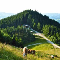 Ausflugstipps im Allgäu - Scheidegg