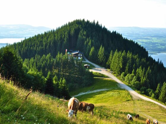Ausflugstipps im Allgäu - Scheidegg