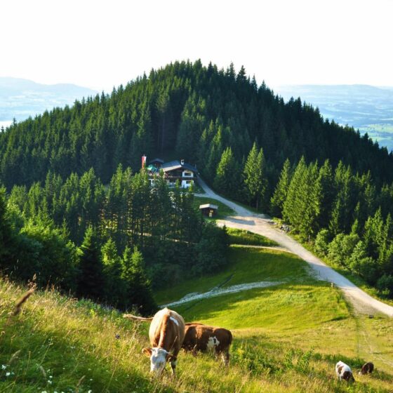 Ausflugstipps im Allgäu - Scheidegg