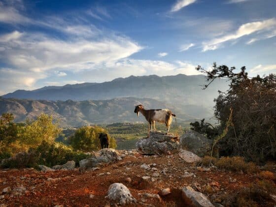 Griechische Inseln - Kreta - Kap Sideros