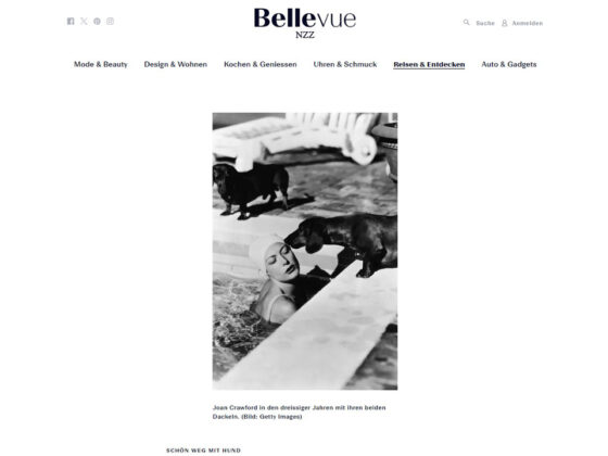 NZZ Bellevue 03-2024 - Charmingplaces - Urlaub mit Hund