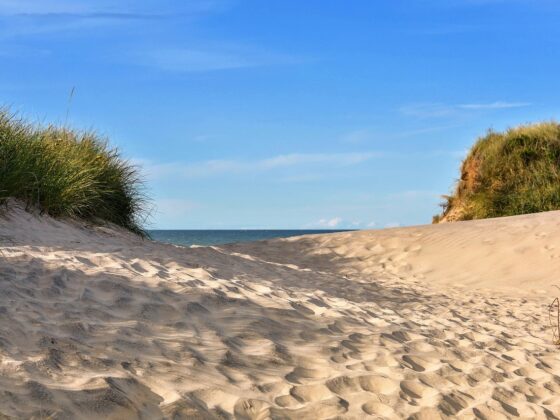 Erlebnistipp Nationalpark Thy