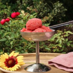 Erdbeer Rosé Sorbet oder Erdbeer Spritz