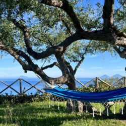 Ferienhaus Sizilien - Villa Giardino Degli Ulivi