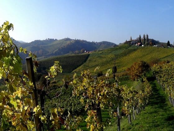 Tipps für die Südsteiermark