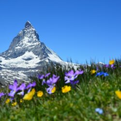 Top 5 Unterkünfte für Urlaub in den Bergen