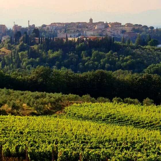 Tipps Montaione - Urlaub in der Toskana