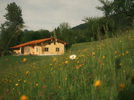 Ferienhaus bei Oberstaufen - Das Antons